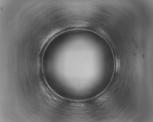 X0000057100435200509231720