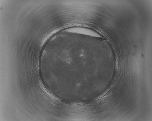 X0000057100438200509231720