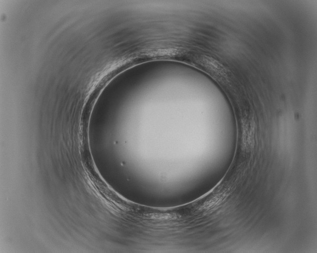 X0000057100439200509231720