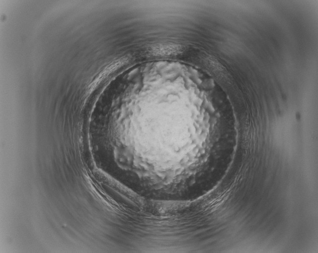 X0000057100443200509231720