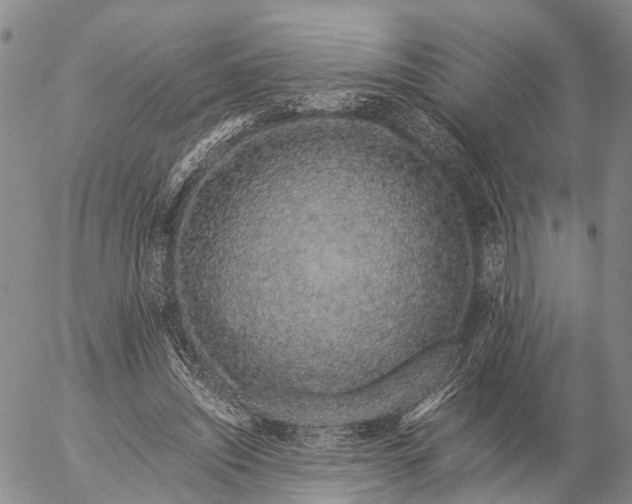 X0000057100444200509231720