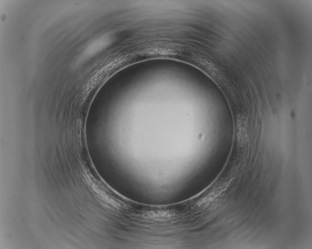 X0000057100445200509231720