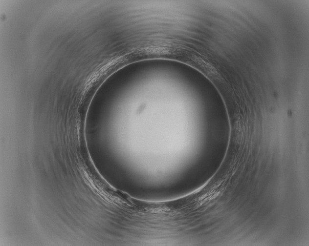 X0000057100446200509231720