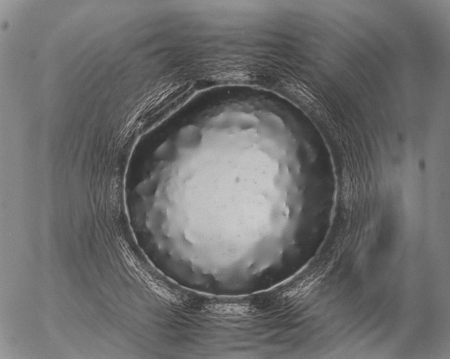 X0000057100449200509231720