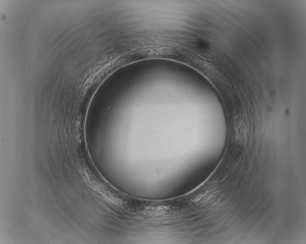 X0000057100450200509231720