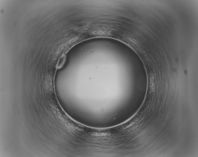 X0000057100453200509231720