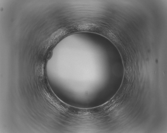 X0000057100454200509231720