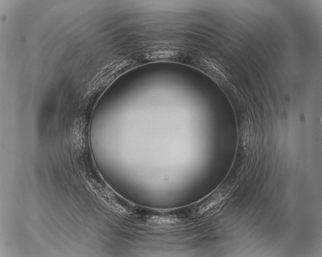 X0000057100455200509231720