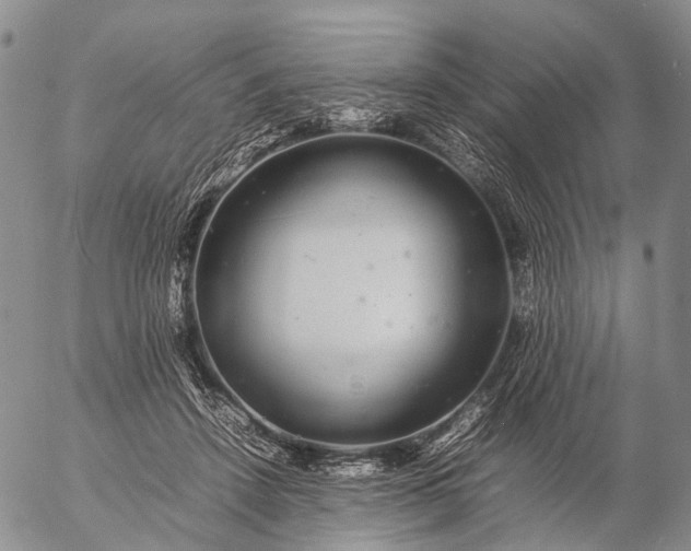 X0000057100456200509231720