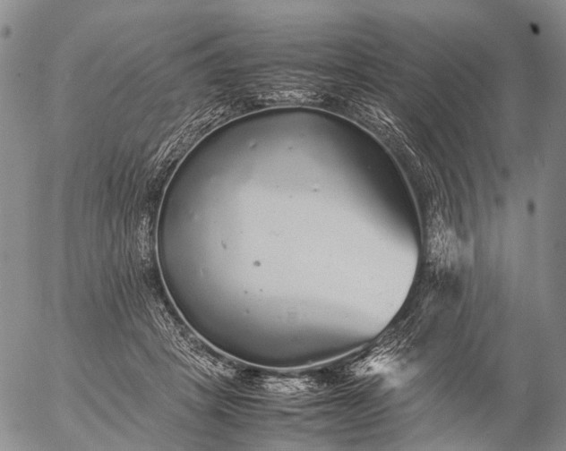 X0000057100457200509231720