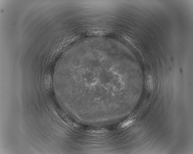 X0000057100459200509231720