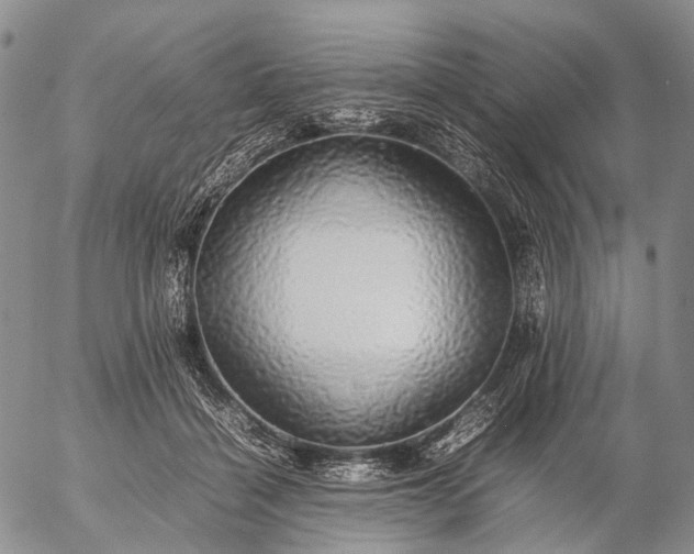 X0000057100460200509231720