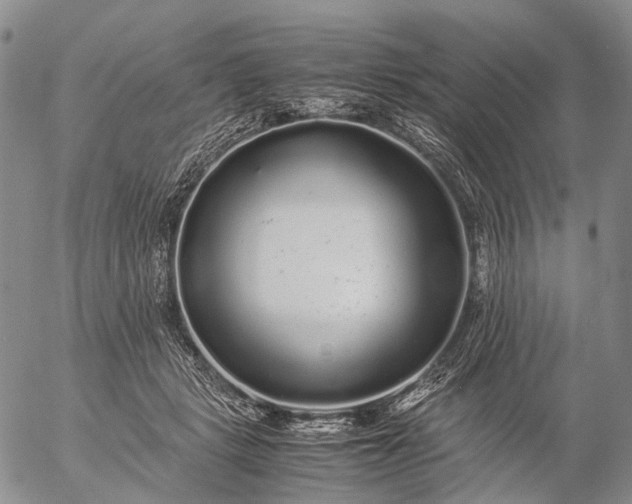 X0000057100461200509231720