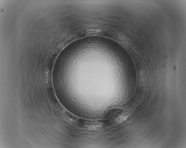 X0000057100463200509231720