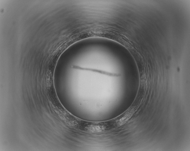 X0000057100464200509231720