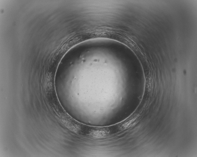 X0000057100466200509231720