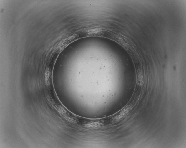 X0000057100468200509231720