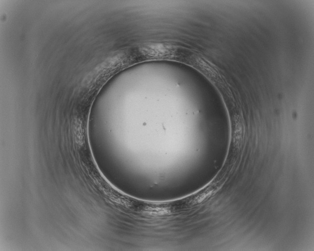 X0000057100469200509231720