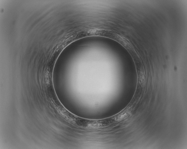 X0000057100470200509231720