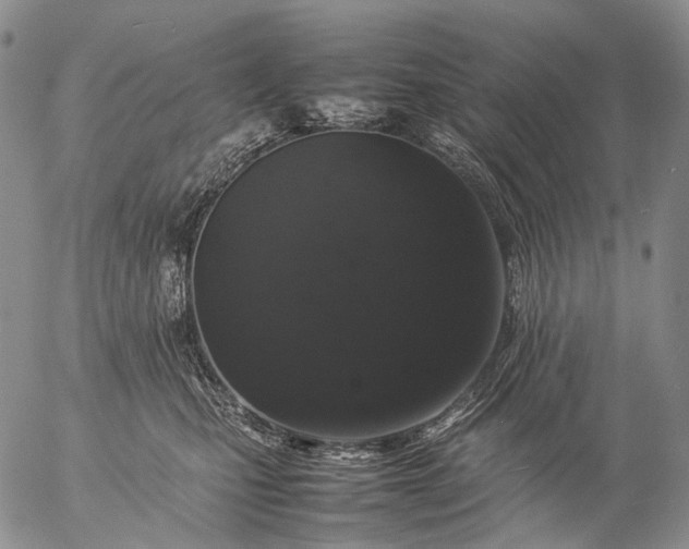 X0000057100471200509231720