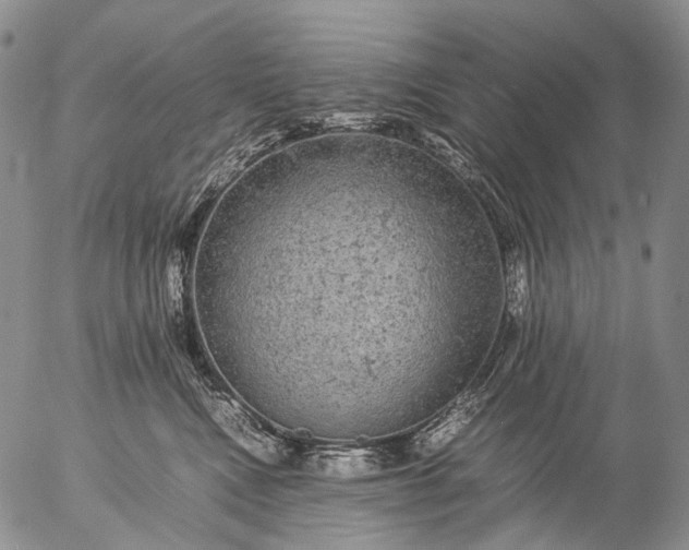 X0000057100472200509231720