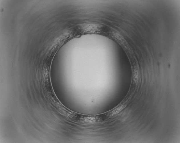 X0000057100473200509231720