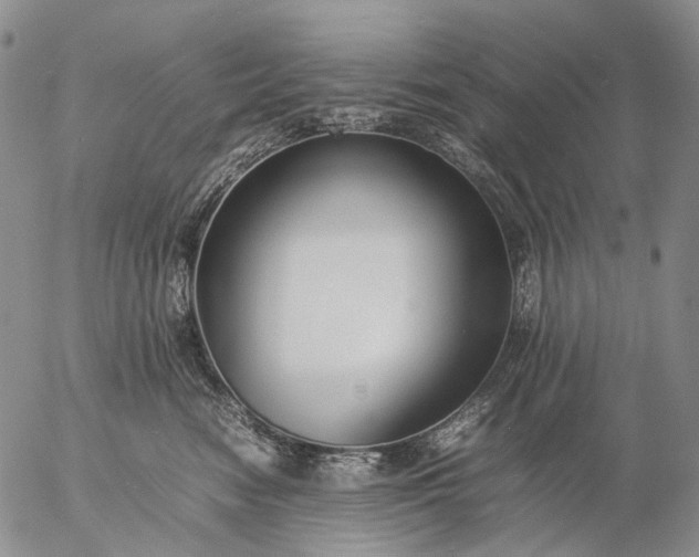 X0000057100474200509231720