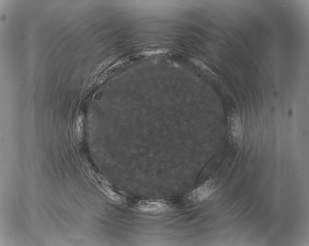 X0000057100475200509231720