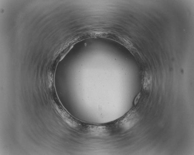 X0000057100476200509231720