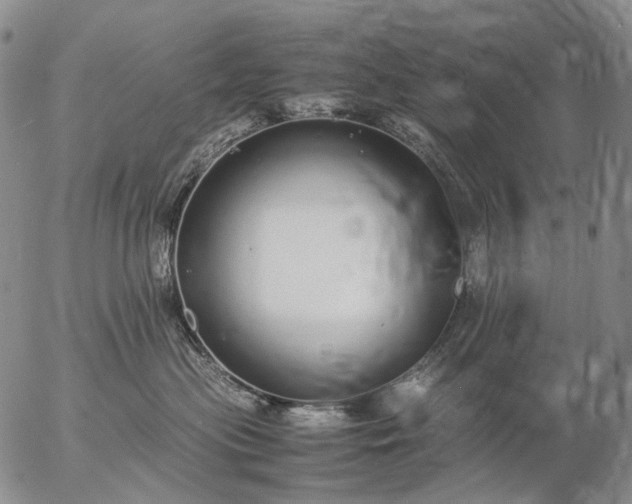 X0000057100477200509231720