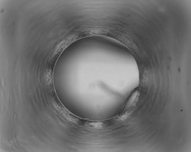 X0000057100478200509231720