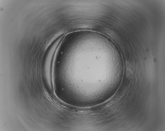 X0000057100482200509231720