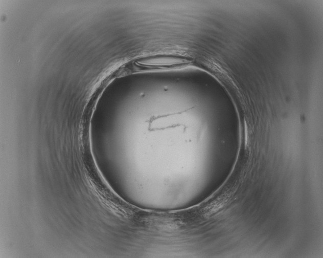 X0000057100483200509231720