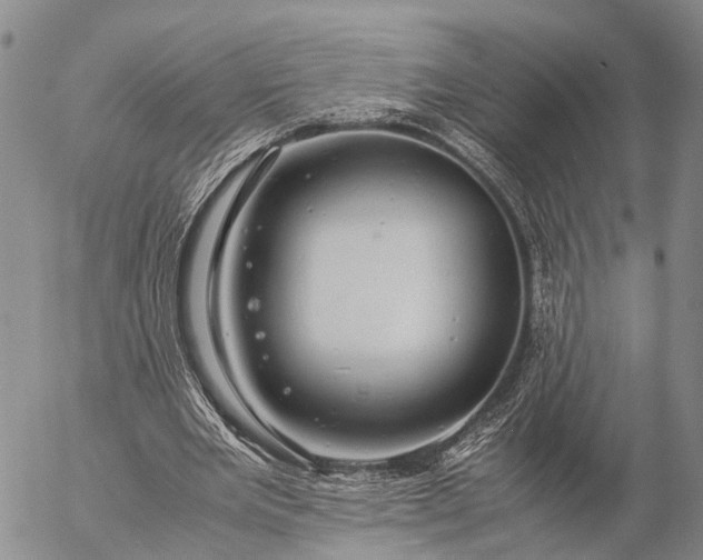 X0000057100485200509231720