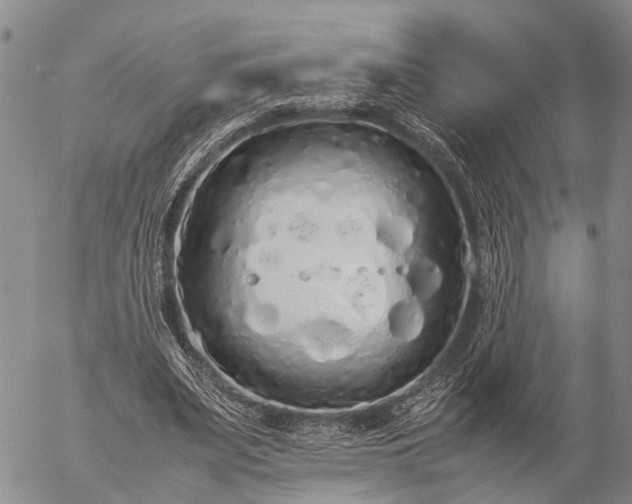 X0000057100487200509231720