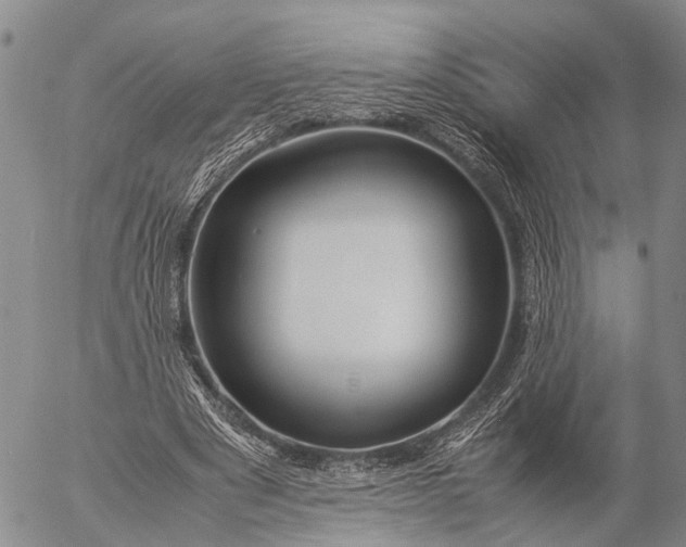 X0000057100489200509231720