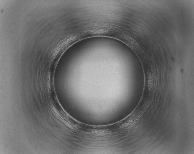 X0000057100490200509231720