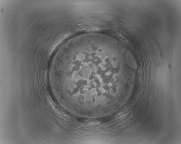 X0000057100491200509231720