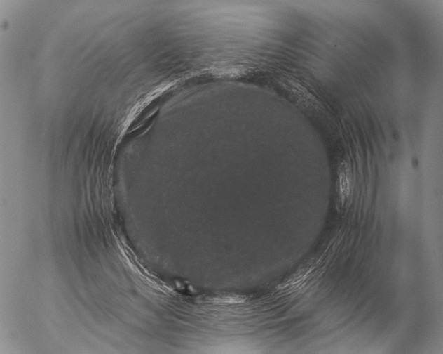 X0000057100492200509231720