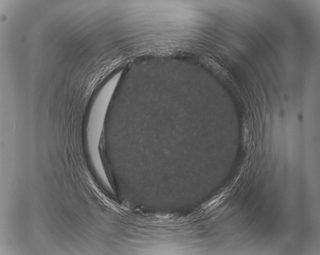 X0000057100493200509231720