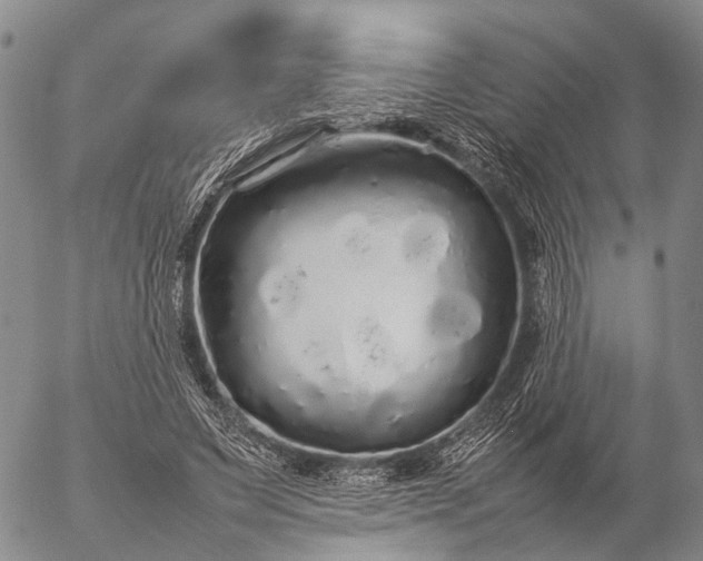 X0000057100495200509231719