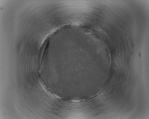 X0000057100496200509231719