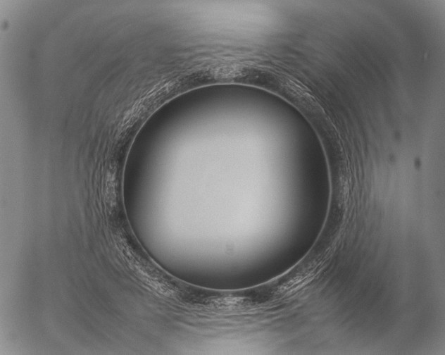 X0000057100497200509231719