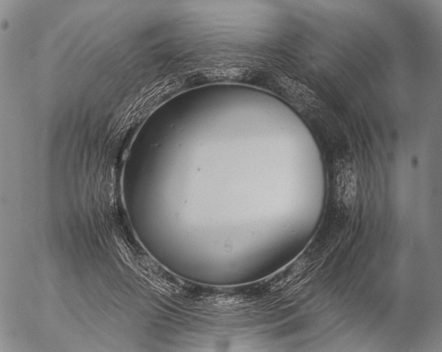 X0000057100498200509231719