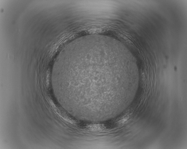 X0000057100499200509231719