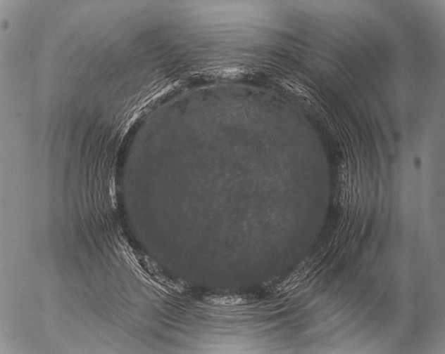 X0000057100500200509231719