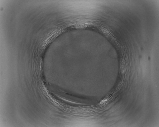 X0000057100501200509231719