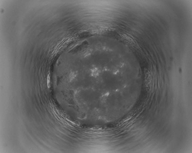 X0000057100502200509231719