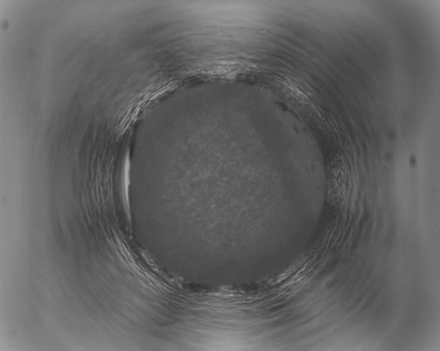 X0000057100504200509231719