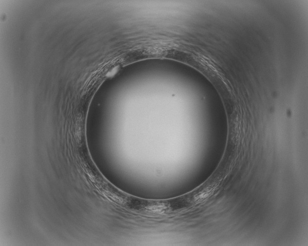 X0000057100505200509231719